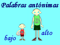 Palabras antonimas Lengua
