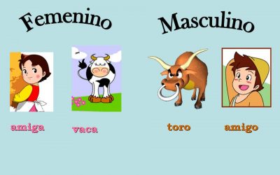 Masculino y Femenino lengua