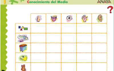 Conocimiento del Medio 1 Primaria Interactivo